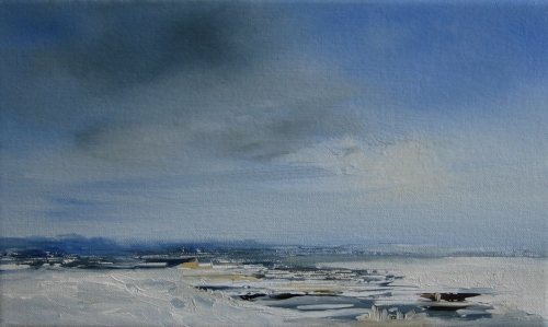 Snow on the marshes