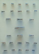 Stick flotilla