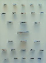 Stick flotilla