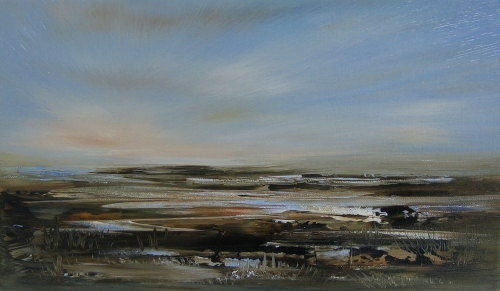 Wetland, rosy light