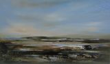 Wetland, rosy light