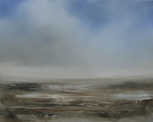 Wetland under soft cloud
