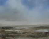 Wetland under soft cloud