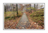 Boardwalk