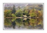 Calm Reflection