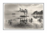 Grey Mist