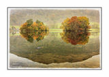 Islands Of Reflection