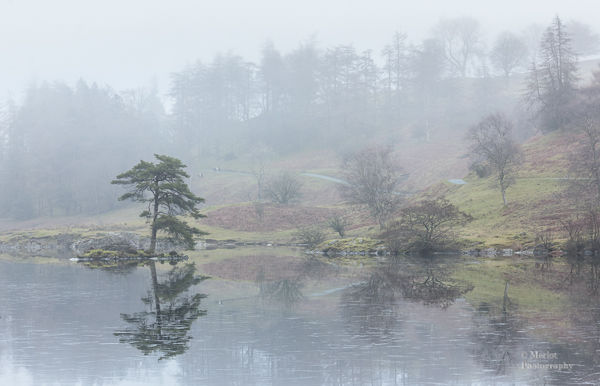 Mist-ry Tarn