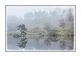Mist-ry Tarn