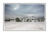 Snow Circle 01