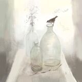 A Sparrow and Glass Bottles A Sparrow snd Glass Bottles
