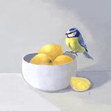 Blue Tit and Lemons