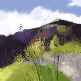 Summer Hillside