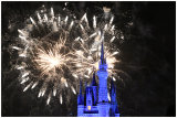 Magic Kingdom Wishes Nighttime Spectacular