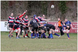 Dalziel vs Murrayfield Wanderers