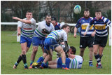 Rugby Hamilton Bulls vs Howe of Fife