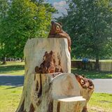 Bears in Aberdare Park