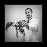 Mark Chivars - Poultry Judge examines a lovely bird