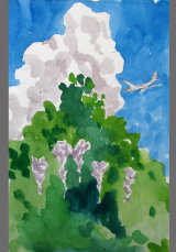 'Cloud, Sky, Wisteria & Boeing' - watercolour