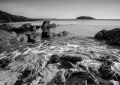Looe Island from Port Nadler