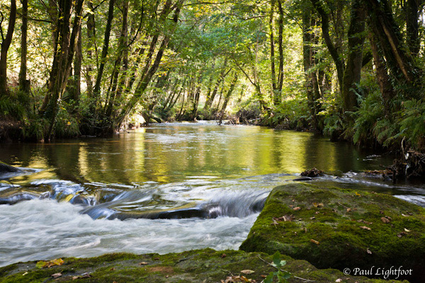River Fowey in the Glynn Valley