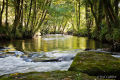 River Fowey in the Glynn Valley