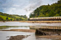 Steam train on the Looe Valley line
