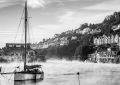 Swans in the mist, Looe