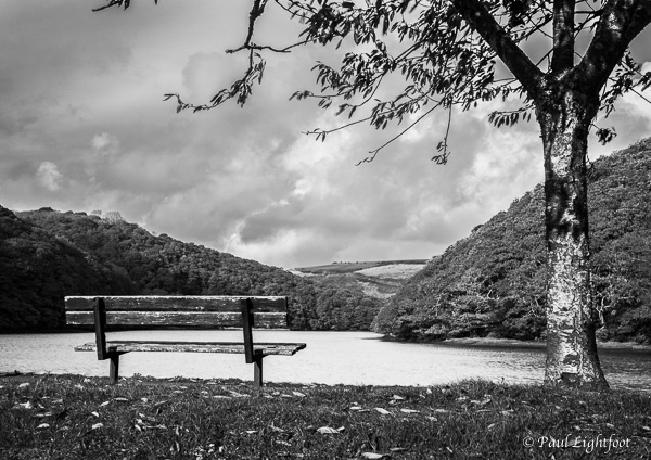 Leaves and a seat, West Looe estuary