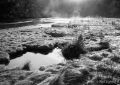 Frost and mist, West Looe estuary