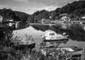 High tide reflections, Lerryn