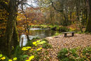 Autumn on the River Fowey below Respryn