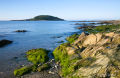 Looe Island from Hannafore