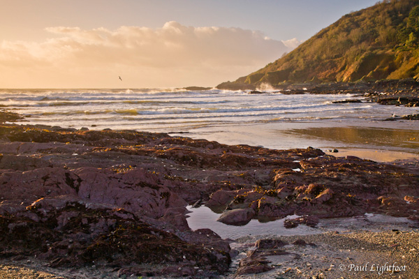 Talland beach morning