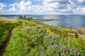 Chapel Point, Port Mellon