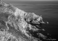 Coastal footpath above Nealand Point