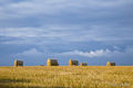 Bales, sheep and clouds