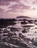 Looe Island from Port Nadler-1