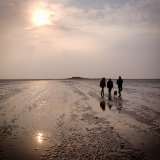 Walking back from Hilbre