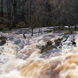 Falls of Feugh