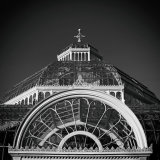 Palm House