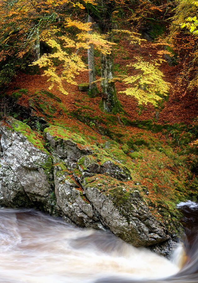 Rocks of Solitude