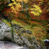 Rocks of Solitude