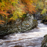 Rocks of Solitude
