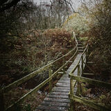 Bridge over the Burn o'Bennie, Loch of Leys