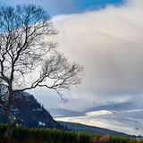 Winter Cairngorms