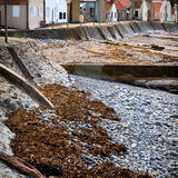 Crovie