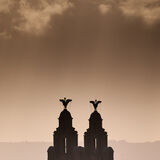 Liver Buildings