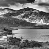 Arkle