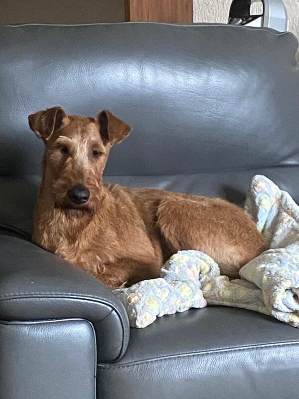 Ch Ros Michelin at Kerrykeel